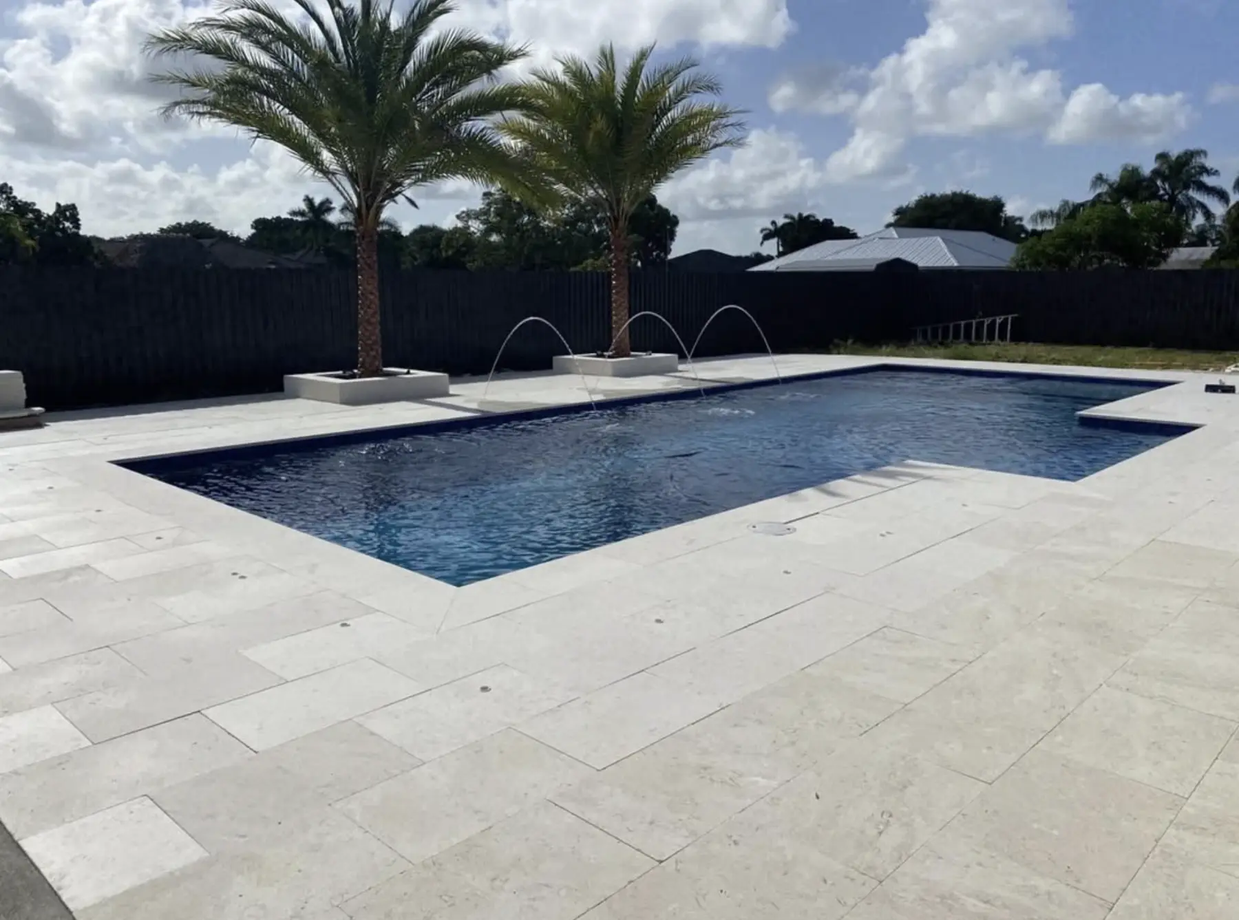 Tropical Miami pool framed by palms