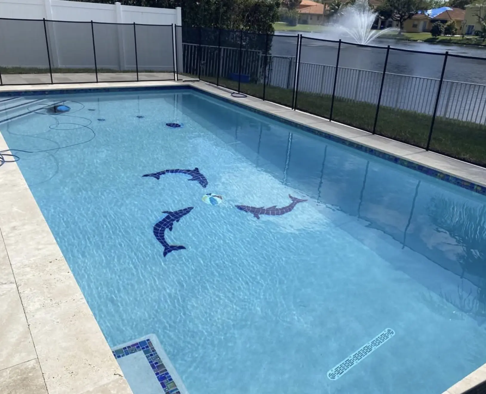 Custom pool detail with dolphin mosaic